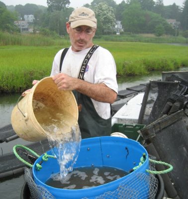 shellfishing