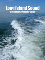 LIS Curricular Resource Guide - cover