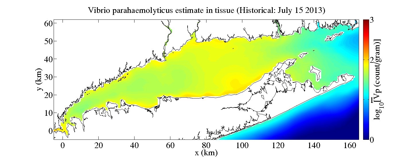 vibrio_estimates