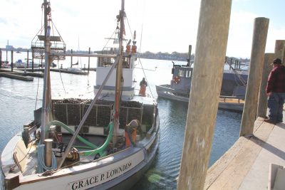 A boatload of oysters harvested from beds near Westport in Long Island Sound is brought to the docks at Norm Bloom & Son Oysters in Norwalk on Nov. 15.
