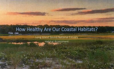 Long Island Sound wetlands habitat is shown at sunset.