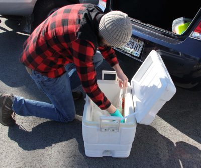 Jake Madden packs the water samples on ice for the trip to the testing lab in Maine.