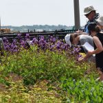 At the downtown New London waterfront park Quest, the first clues were found at the Eugene O'Neill statue.