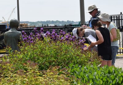At the downtown New London waterfront park Quest, the first clues were found at the Eugene O'Neill statue.