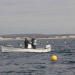 Regulators who are part of the Connecticut Aquaculture Permitting Workgroup tour J.P. Vellotti's site on March 28.