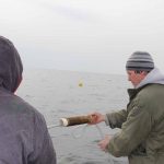 J.P. Vellotti, center, works with Edwin Rodriguez, left, and Marvin Ceveba to unwrap kelp seed string onto long lines in February.