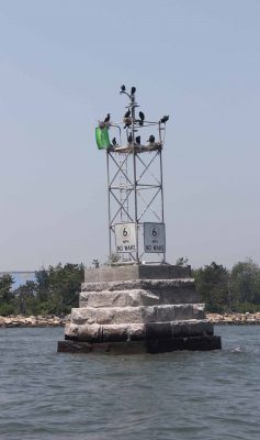Cormorants gather on a channel marker in Norwalk harbor.