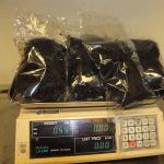 The packaged Gracilaria is weighed before being taken to labs for testing.