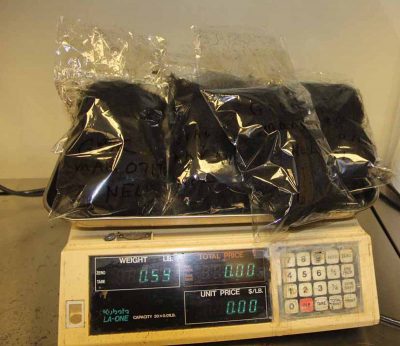 The packaged Gracilaria is weighed before being taken to labs for testing.