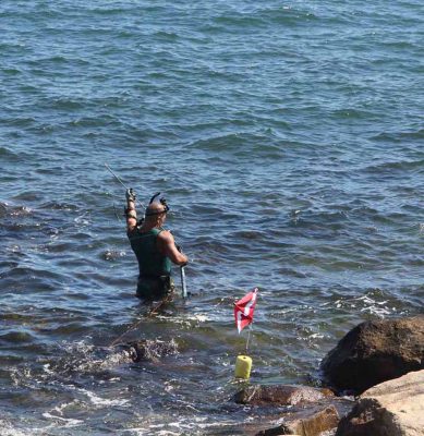 A spearfisherman readies his gear before diving in the waters off UConn Avery Point in Groton on July 19.