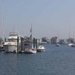 Pine Island Marina and the Shennecossett Yacht Club are located in the waters adjacent to Avery Point.