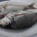 Whole scup, also called porgy, are abundant in local waters.