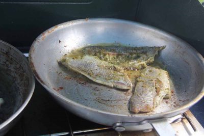 The scup fillets were sautéed in a pesto sauce.