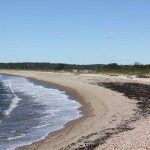 The barrier beach is one of the unique ecological features of Bluff Point State Park.