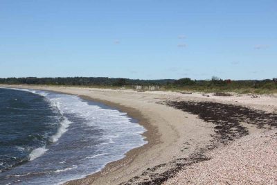 The barrier beach is one of the unique ecological features of Bluff Point State Park.