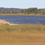 The Poquonnock River flows past salt marshes at Bluff Point State Park.