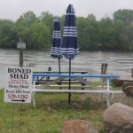Hale's Shad is located on the Connecticut River near the Rocky Hill Ferry. Fisherman Dan Russell also keeps his boat nearby. Judy Benson / Connecticut Sea Grant