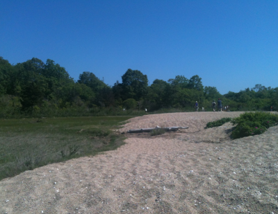 Visitors enjoy the dunes, salt marsh, and coastal forests of Bluff Point State Park in Groton.