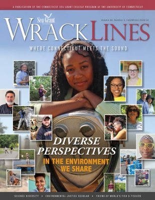 Cover of Spring-Summer 2020 issue of Wrack Lines
