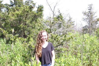 Mary Schoell spent two years researching this stand of cedar trees at Hammonasset as part of her master's degree program at Yale.