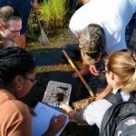 Teachers at an environmental education workshop