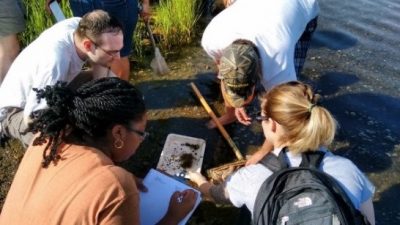 Teachers at an environmental education workshop