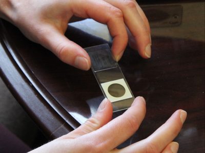 A slide with a water sample is ready for inspection.