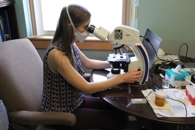 Van Gulick examines a sample.