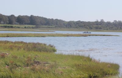 Kayakers paddle through Pattagansett Marsh in East Lyme.