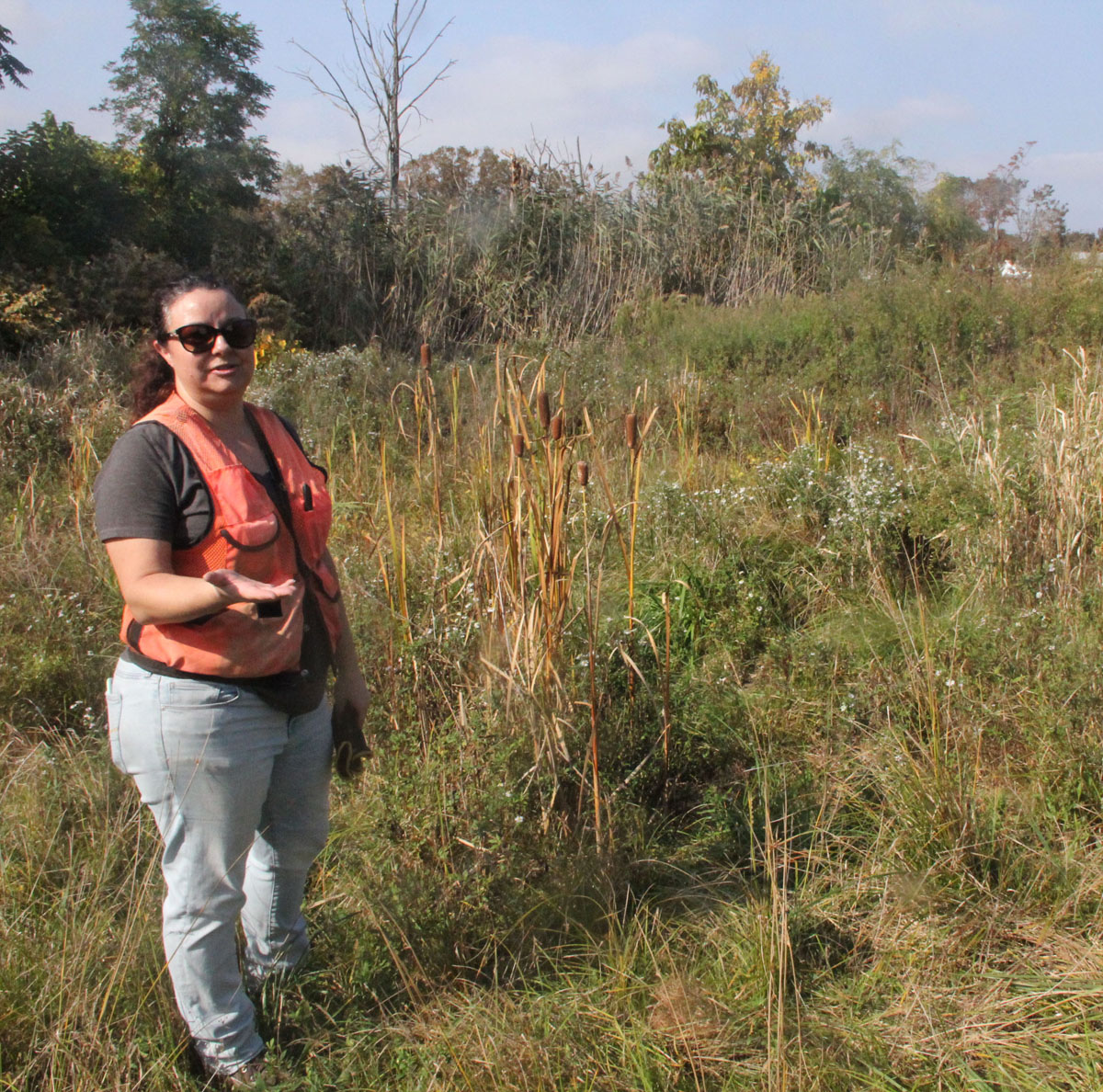 Walker describes how wetland species such as the cattails beside her have spontaneously begun to recolonize some of the former home sites in the West Haven neighborhood.