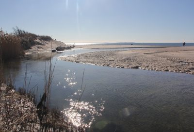 Embayments like Goshen Cove in Waterford will be studied for changes in alkalinity in one of the eight research projects. Judy Benson / Connecticut Sea Grant