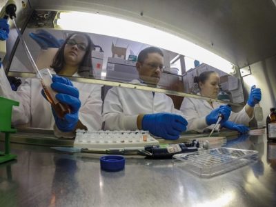 Members of the De Guise lab performing immune functions assessment.