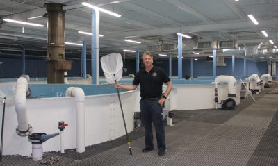 Eric Pedersen stands beside one of the 28 tanks at Ideal Fish where branzino are grown.