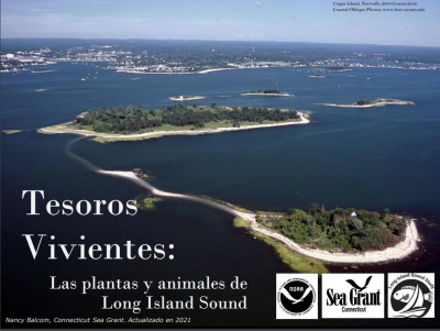 Tesoros Vivientes title slide