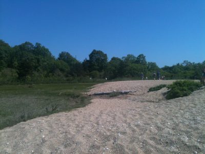 Visitors enjoy the dunes, salt marsh, and coastal forests of Bluff Point State Park in Groton.