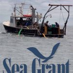 Cover of Connecticut Sea Grant Annual Report 2021