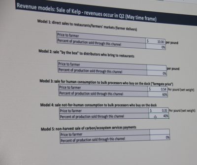 This slide is one of several from the business plan presented by Tammy Warner.