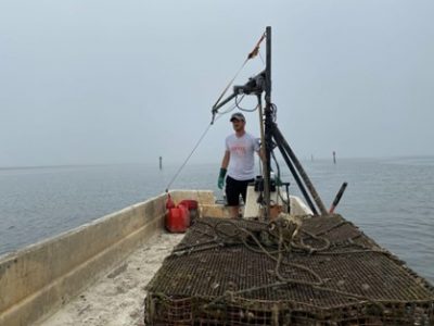 A shellfish farmer cages of oysters to the dock.