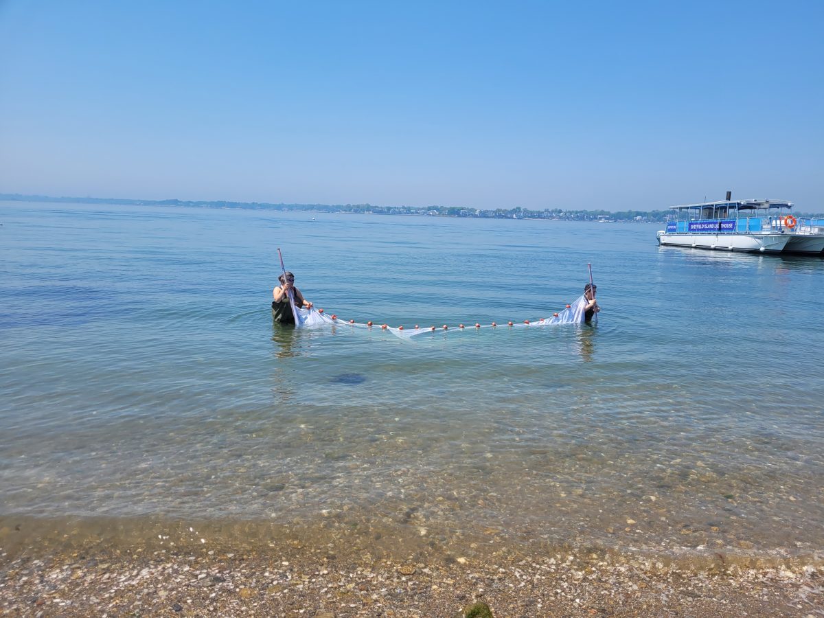 Teachers learn how to use a seine net at the 2022 Long Island Sound Mentor Teacher Program.