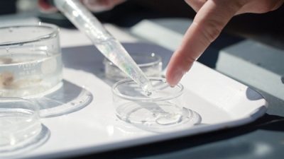Water testing