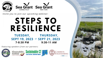 flier for Steps to Resilience workshop