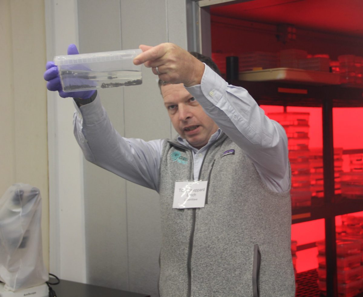 Toby Sheppard Bloch, director of infrastructure at GreenWave, holds up a container of kelp reproductive tissue.